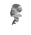 Morena Ibiza